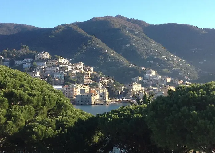 酒店 Giulio Cesare 3*